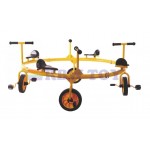 Bicycle and Gym Fitness MODEL NO RW-17154